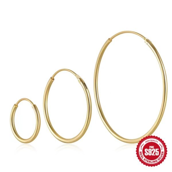 S925 silver Thin Hoops Rings for Ear, Nose Piercings, No Hinge Design, 12mm.20mm,30mm